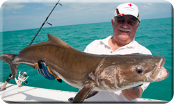 Key West wreck and reef fishing