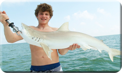 Shark Fishing Key Largo Florida